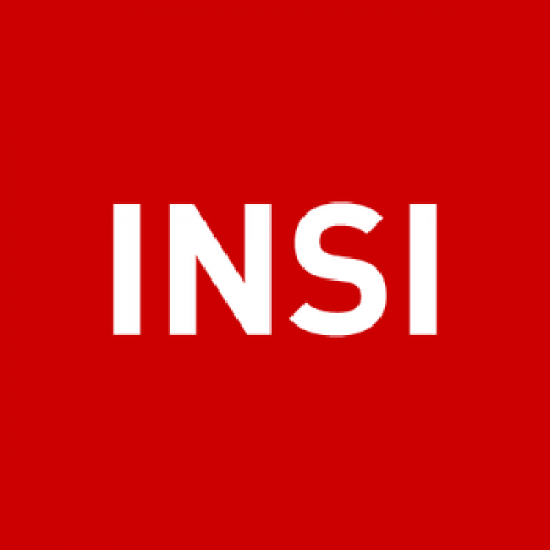 INSI (INTERNATIONAL NEWS SAFETY INSTITUTE)